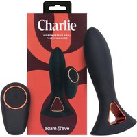 Aanbieding AdametEve - Charlie Anal Vibrator